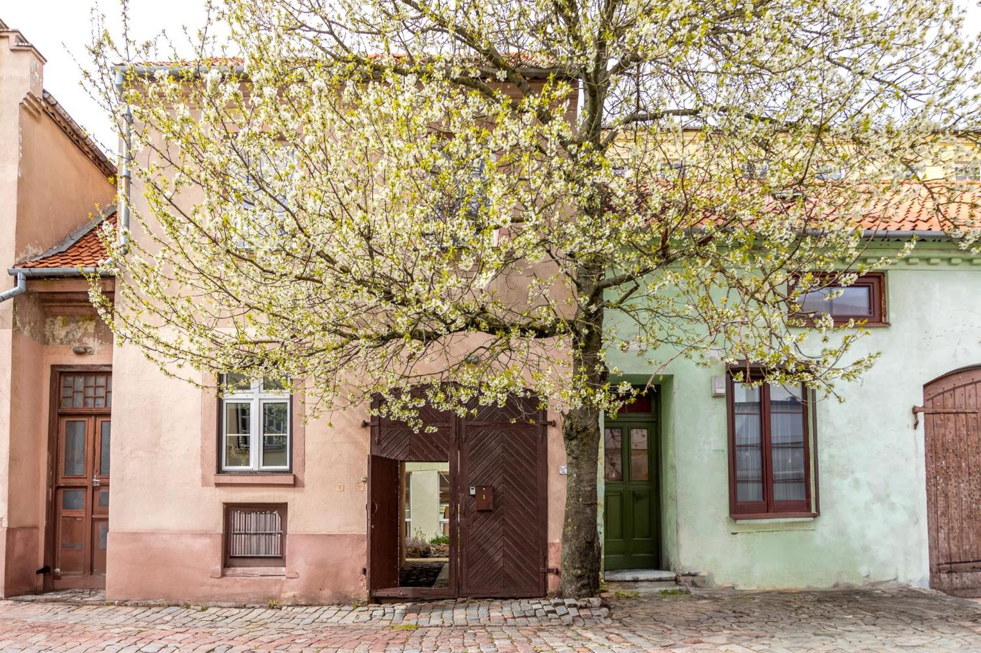 In The Heart Of The Old Town Vip Apartment Klaipeda Luaran gambar